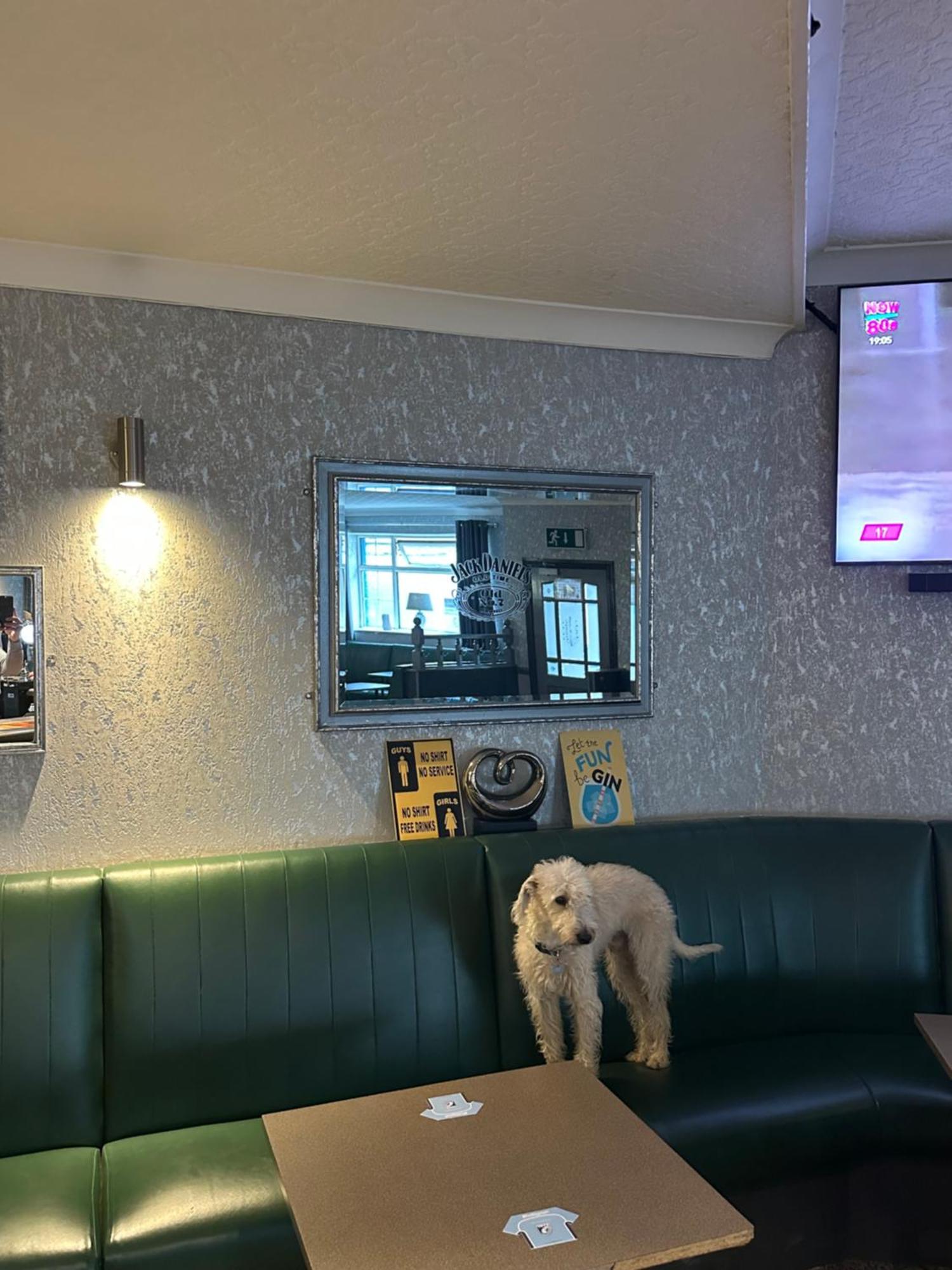 The Angel Inn Troed-y-rhiw Dış mekan fotoğraf